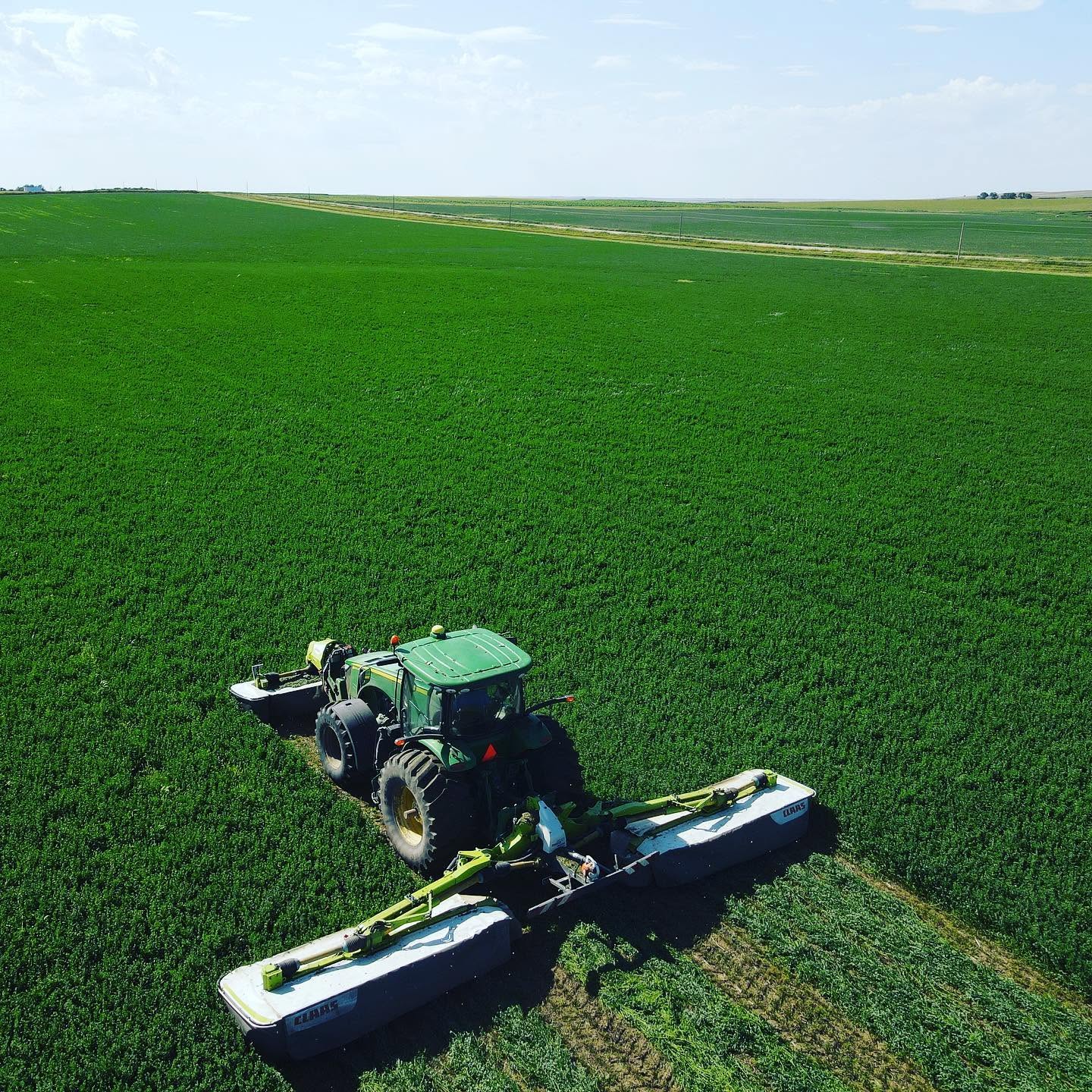 ISS agronomist examining crop root system in the field