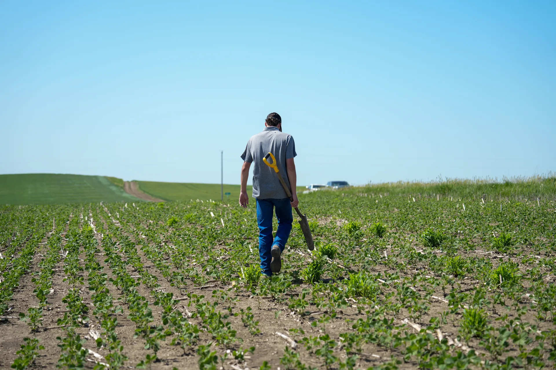 Farmer walking in field