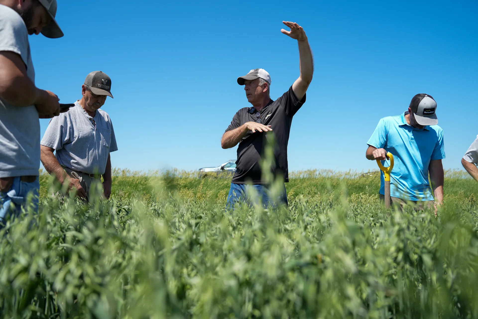 Farmers in the field
