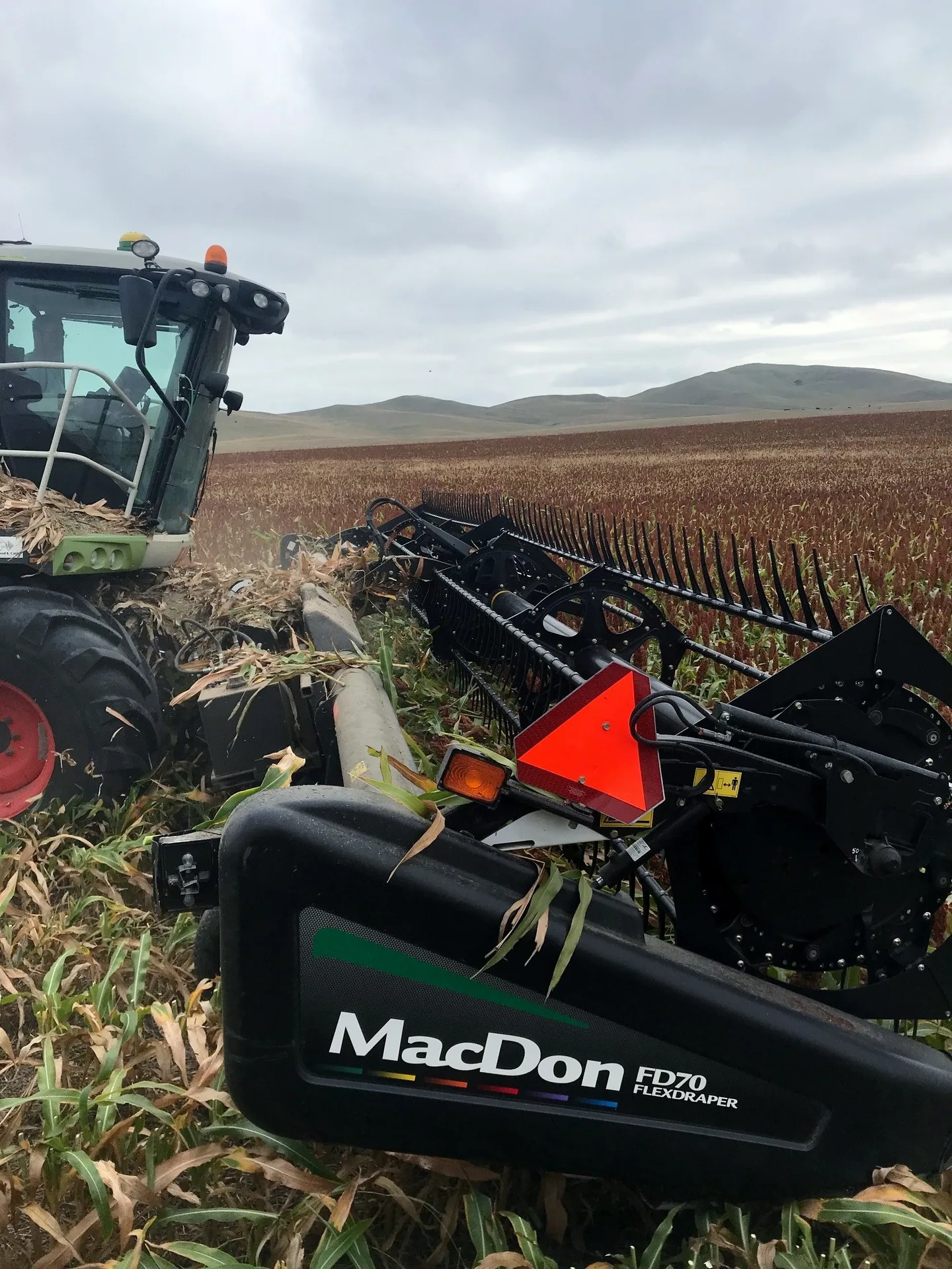 Agronomist scouting young crop stand in the field